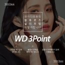 블루와이디