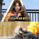 우드카빙 이미지