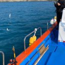 평지민박 이미지