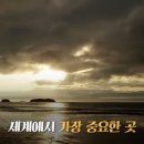 우리나라 갯벌이 유네스코 세계유산 등재된거 알아? 이미지