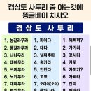 경상도 사투리 중 아는 것에 똥글베이 치시오. 이미지