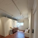 데일리아이래쉬 이미지