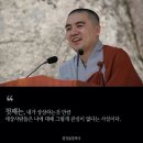 멈추면 비로소 보이는 것들 이미지