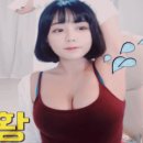 겨미 이미지