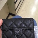 샤네리 Daum카페