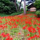 신지생태공원 이미지