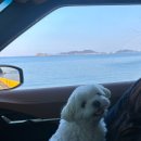 용재농원