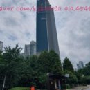 더포레스트 이미지