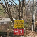 경기도 용인캠핑장 당일예약 가능한 용인 둥지골 캠핑장 솔직후기