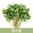 해와달 이미지