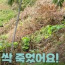 동방산소 이미지