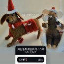 지온유 일상기록 2024 가을