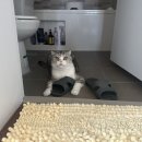 행복) 할머니 화 푸세요~ 이미지