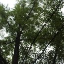 이유명호한의원 이미지