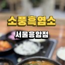 소풍흑염소