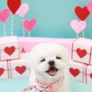 원 그루밍 이미지