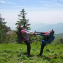 장미로(대로3-13) 이미지