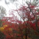 선운산 관광안내소 이미지