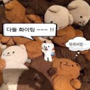 세계최초 팬을 똥으로 만드는 아이돌.twt 이미지