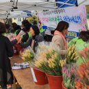 진천읍행정복지센터 앞 이미지