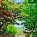 장군마을 공영주차장 옆 | 아산 가볼만한곳 추천 여행 코스💚 자전거 현충사 실내 꿀팁5