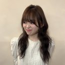 샌드비