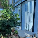 용산-이촌-496 이미지