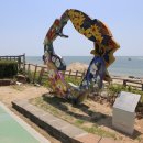 석양을 품은 물고기 이미지