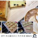 까사폴라리스 이미지