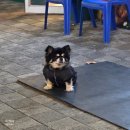 낙지엄마횟집 | 대전 봉명동 횟집 금수산회센터 2번 방문한 내돈내산 솔직 후기 참숭어 대전 밀치 맛집