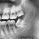 닥터오치과의원 이미지