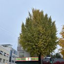 세븐일레븐 종로창성점 이미지