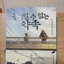 야쿠마루 가쿠 [ 돌이킬 수 없는 약속 ] 읽은 후기