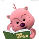 비전공자 독학 산업안전기사 26년 2회 필기 합격 후기 ⛑️