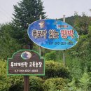 고모네 민박 이미지