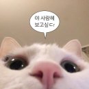 돈화문로10길 이미지