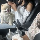 구름다리명가