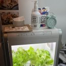 초식곳간 이미지