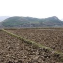 문화유산, 역사가 보인다 이미지