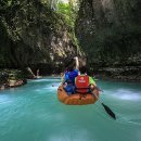 자연들마트 이미지