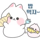 착한낙지 수유본점 이미지