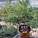 효돈순환로 이미지