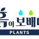 흙이보배다식물