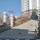 면목동-104 이미지