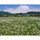 대관령 느린마을 이미지