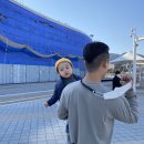 쌍희재 | 아기랑 여행) 아기가 좋아하는 여수, 순천 여행지, 아쿠아플라넷 여수, 돌산공원, 낙안읍성