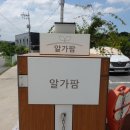 (주)알가
