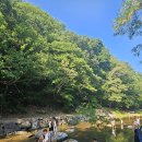 개울 | 남한산성 "개울테라스" 후기｜여름에 산멍·물멍 하기 좋은 계곡 카페