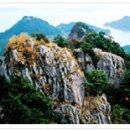 대양을 향해서 이미지