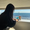 영무차이나 | 25.01.04-25.01.05 (신발원/브로니카페/러브이즈기빙하트베어/영무파라드호텔/밤볼/조개데이해운대)』